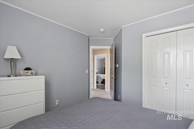 1049 N Purple Sage Way, Eagle, ID 83616 - bedroom with crown molding and a closet