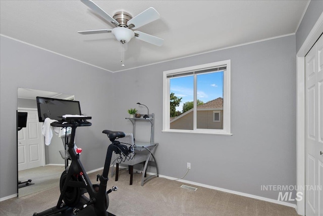 1049 N Purple Sage Way, Eagle, ID 83616 - workout room with carpet flooring, ornamental molding, and a ceiling fan