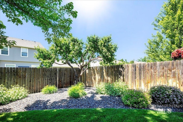 1049 N Purple Sage Way, Eagle, ID 83616 - view of yard