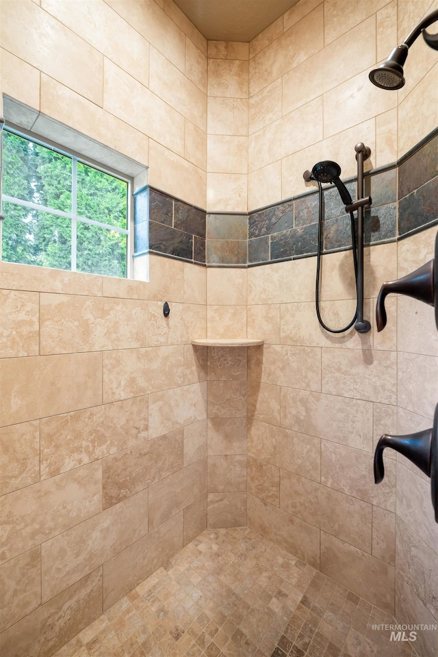4965 S Nickel Creek Ave, Meridian, ID 83642 - bathroom with tiled shower