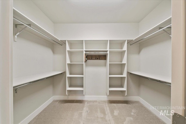 walk in closet with carpet floors