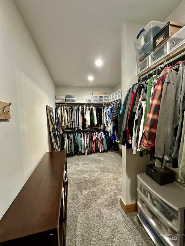1321 Lande Ln, Moscow, ID 83843 - spacious closet featuring carpet flooring