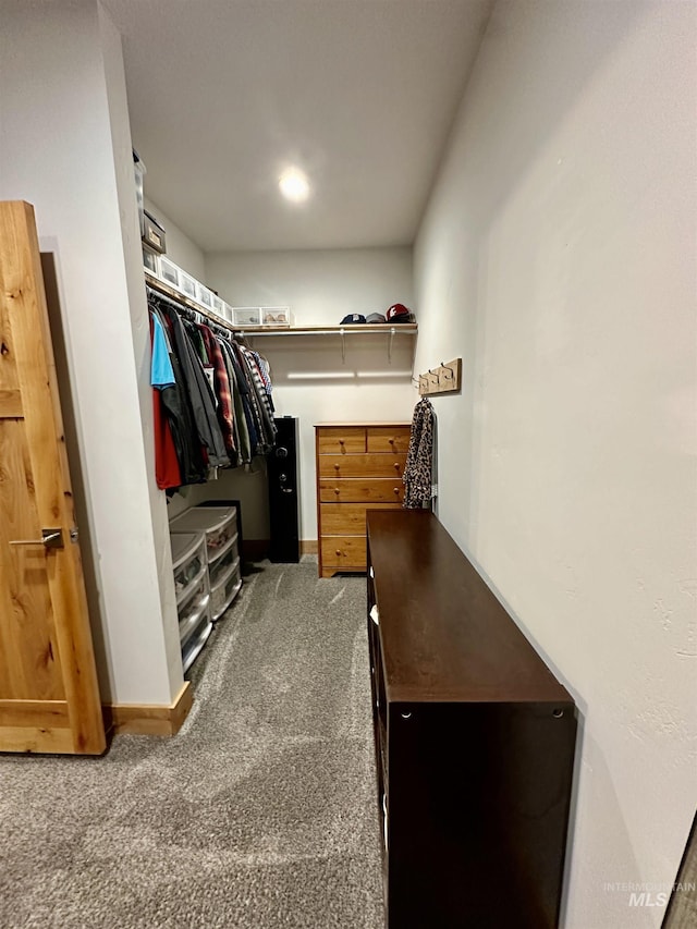 1321 Lande Ln, Moscow, ID 83843 - walk in closet with carpet