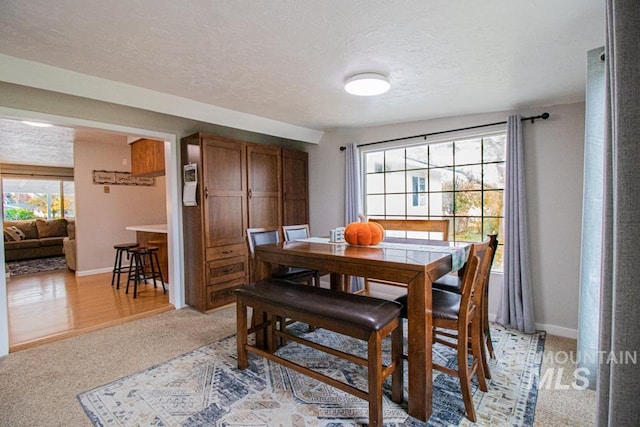1627 Verdant Ct, Emmett, ID 83617 - dining area featuring a textured ceiling, healthy amount of natural light, baseboards, and light carpet