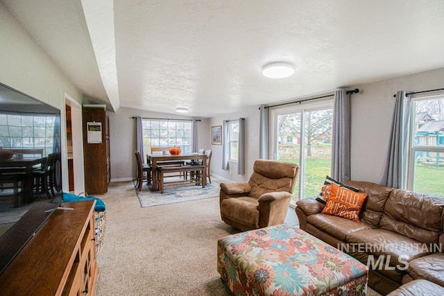 1627 Verdant Ct, Emmett, ID 83617 - living area featuring carpet, a textured ceiling, and baseboards