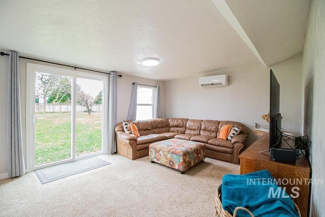 1627 Verdant Ct, Emmett, ID 83617 - carpeted living area with a wall mounted air conditioner