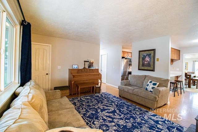 1627 Verdant Ct, Emmett, ID 83617 - living room featuring plenty of natural light, a textured ceiling, light wood-style floors, and baseboards