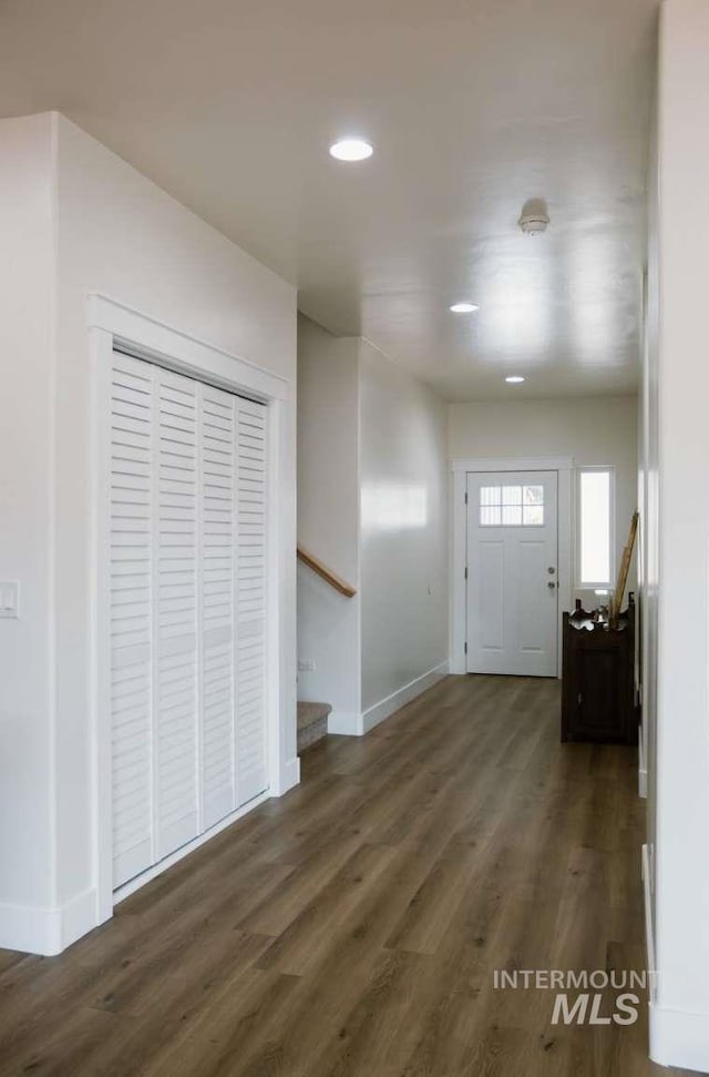 foyer entrance with dark hardwood / wood-style flooring