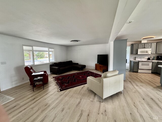 living area with baseboards and light wood-style flooring