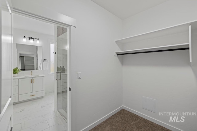 spacious closet featuring sink