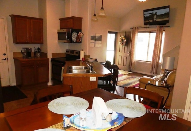 24 Mangum Dr Unit 1, Donnelly, ID 83615 - dining space with vaulted ceiling