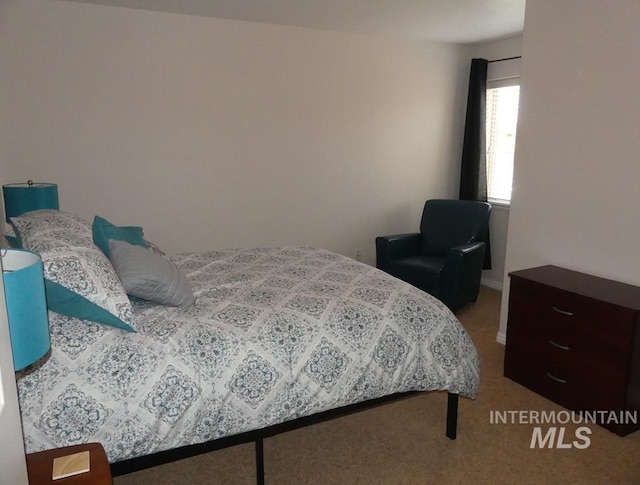 24 Mangum Dr Unit 1, Donnelly, ID 83615 - bedroom featuring carpet