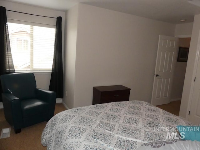 24 Mangum Dr Unit 1, Donnelly, ID 83615 - bedroom featuring carpet and baseboards
