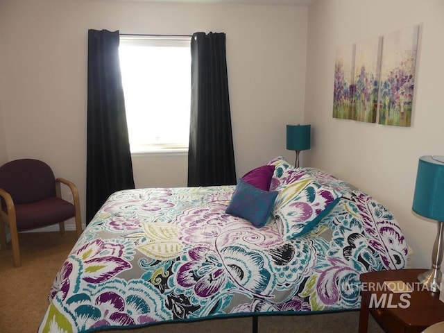 24 Mangum Dr Unit 1, Donnelly, ID 83615 - bedroom featuring carpet