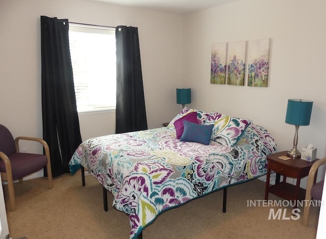 24 Mangum Dr Unit 1, Donnelly, ID 83615 - view of carpeted bedroom