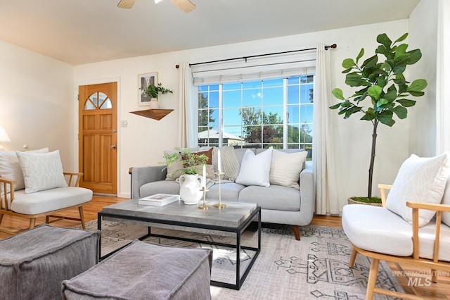 living room with hardwood / wood-style flooring and ceiling fan