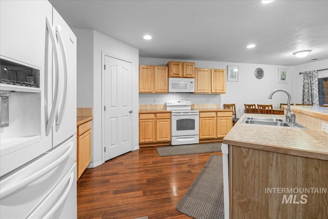 kitchen featuring white appliances, dark hardwood / wood-style floors, light brown cabinetry, and sink