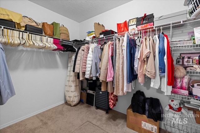 walk in closet with carpet flooring