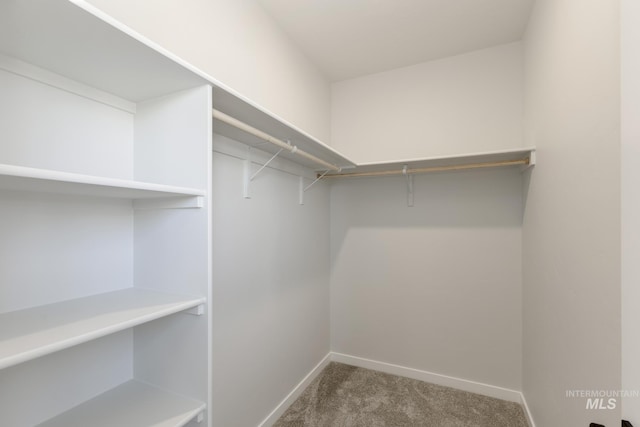 2827 N Rocky Bottom Way, Kuna, ID 83634 - walk in closet with carpet floors