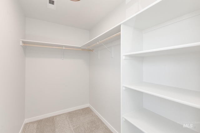 2827 N Rocky Bottom Way, Kuna, ID 83634 - spacious closet with carpet