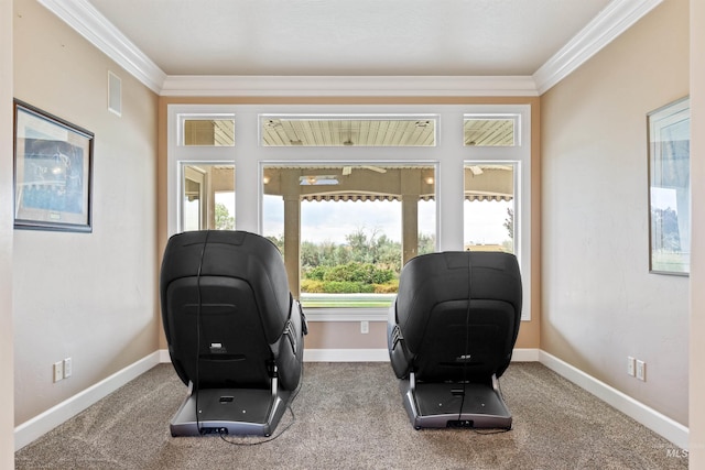 living area featuring carpet flooring and ornamental molding