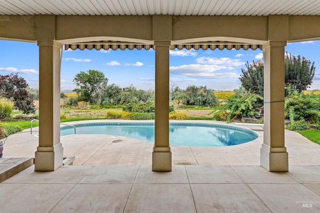 view of swimming pool with a patio