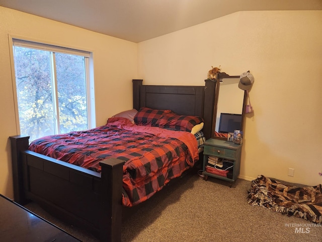 bedroom featuring carpet and vaulted ceiling