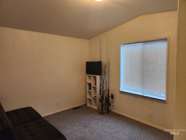 interior space with carpet, vaulted ceiling, and a healthy amount of sunlight