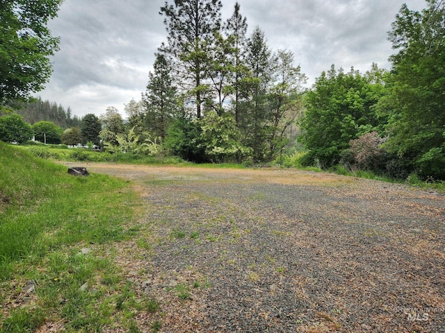 135 N Marion St, Peck, ID 83545 - view of yard with a view of trees
