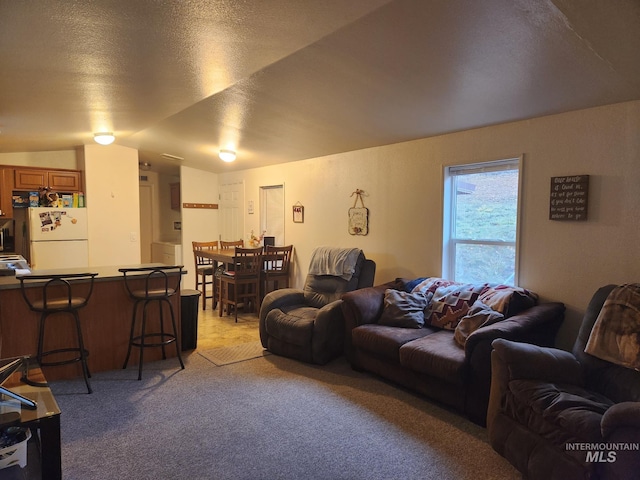 carpeted living room with a textured ceiling and vaulted ceiling