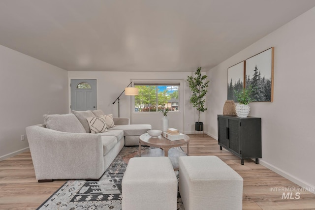 10834 W Linstock Ct, Boise, ID 83713 - living area featuring light wood-type flooring and baseboards