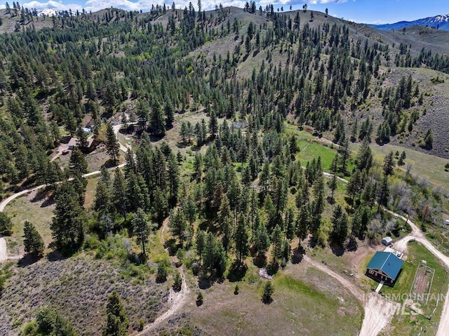 birds eye view of property with a mountain view