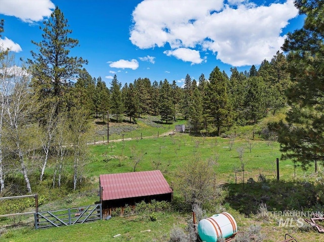 view of yard featuring a rural view