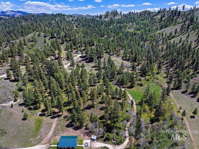 bird's eye view featuring a mountain view