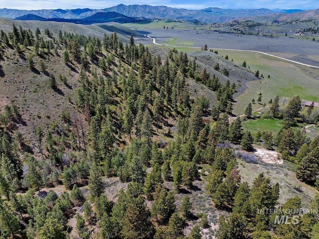 bird's eye view with a mountain view