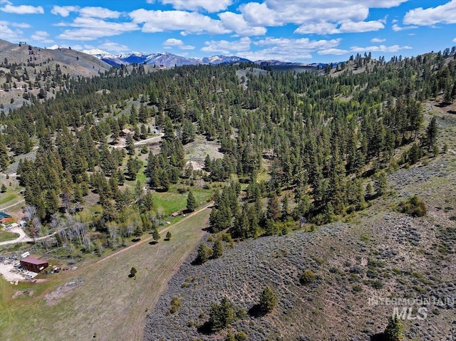 birds eye view of property with a mountain view