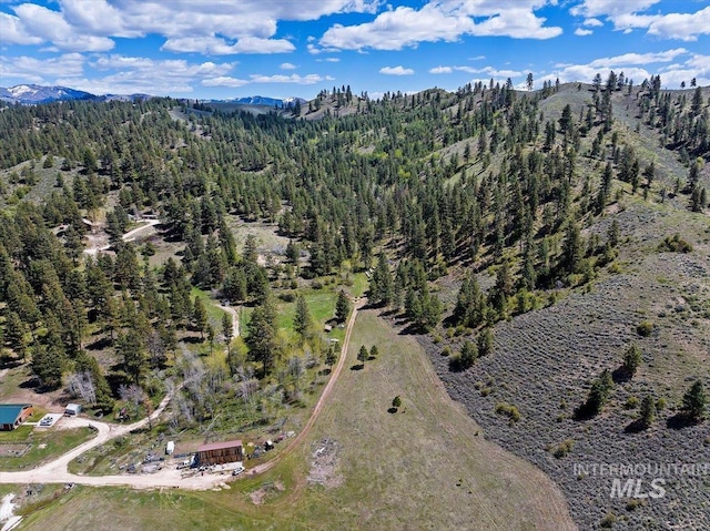 birds eye view of property featuring a mountain view