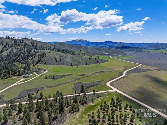 birds eye view of property featuring a mountain view