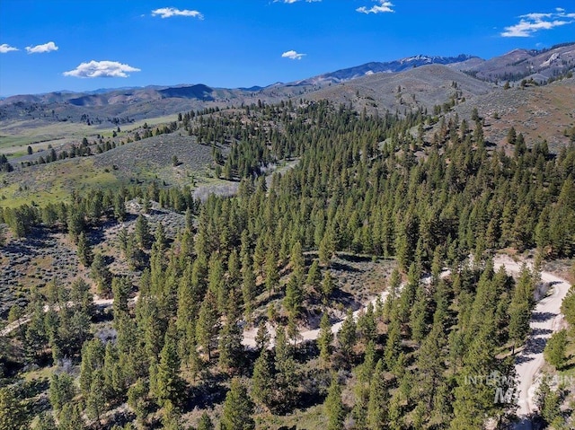 birds eye view of property with a mountain view