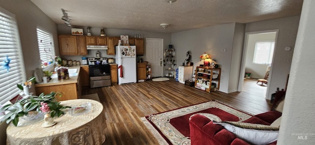 kitchen with electric stove, brown cabinets, freestanding refrigerator, light countertops, and under cabinet range hood