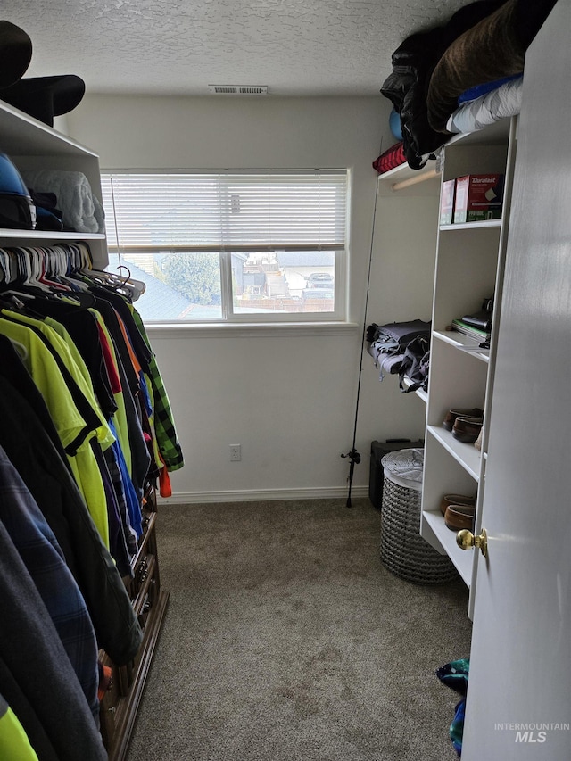 walk in closet featuring visible vents and carpet flooring