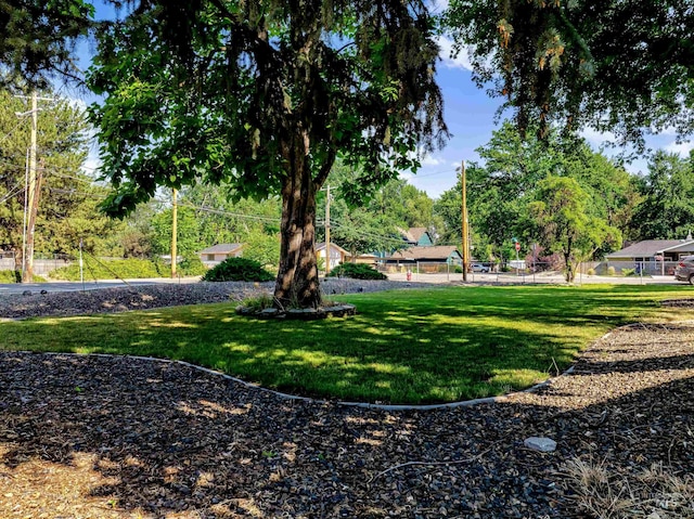 view of property's community with a yard