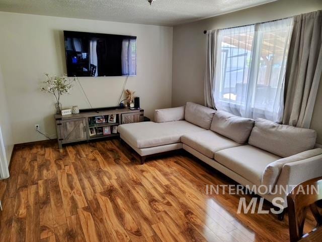 2150 W Shy Crk, Nampa, ID 83686 - living room featuring wood finished floors and a textured ceiling