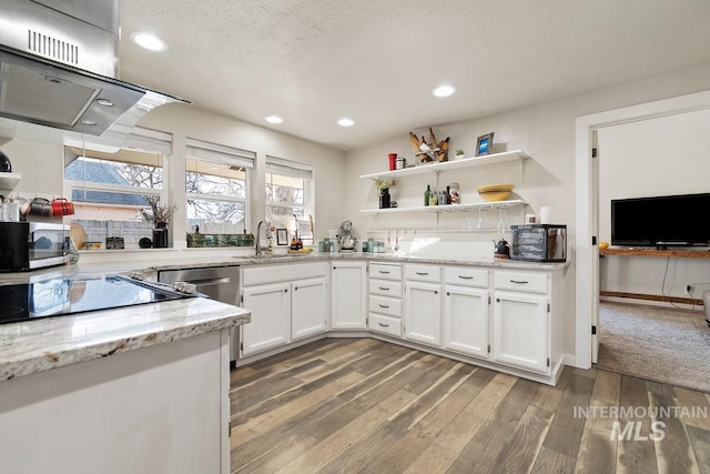 kitchen featuring sink, white cabinets, a textured ceiling, light stone counters, and dark hardwood / wood-style floors