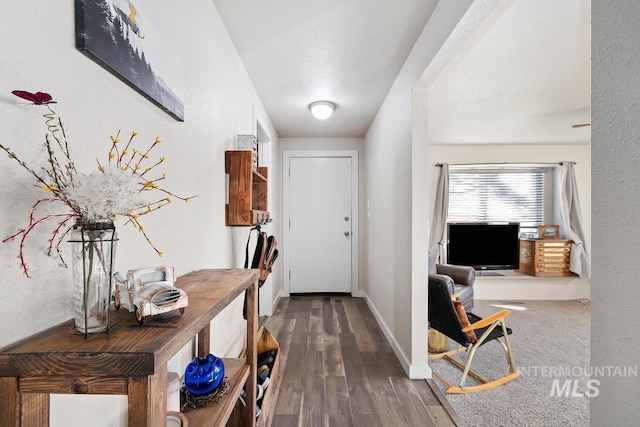 foyer featuring dark hardwood / wood-style floors