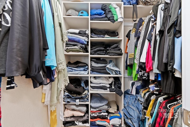 view of spacious closet