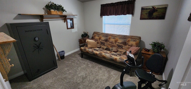 110 Memory Ln, Kamiah, ID 83536 - sitting room with carpet and baseboards