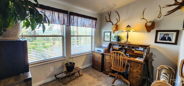 110 Memory Ln, Kamiah, ID 83536 - carpeted office space featuring baseboards
