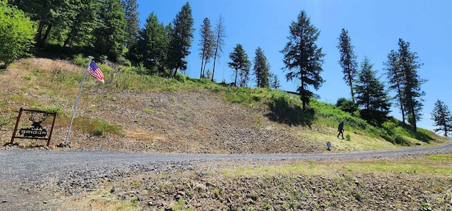 110 Memory Ln, Kamiah, ID 83536 - view of yard