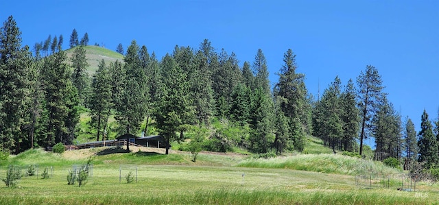 110 Memory Ln, Kamiah, ID 83536 - view of yard featuring a wooded view